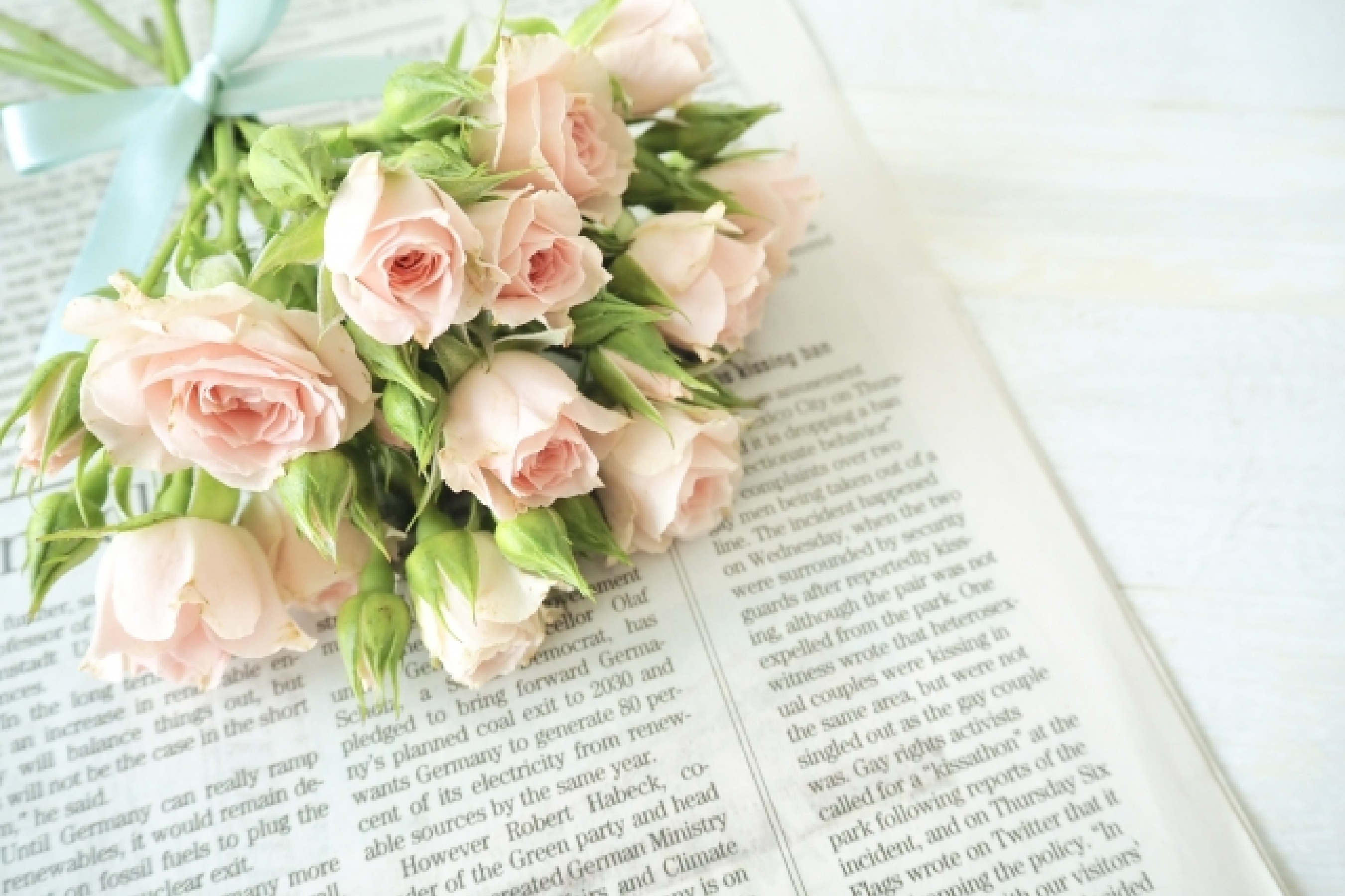 IBJアワード4期連続受賞しました